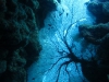 unterwasser70