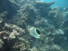unterwasser75