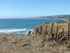 pichilemu12